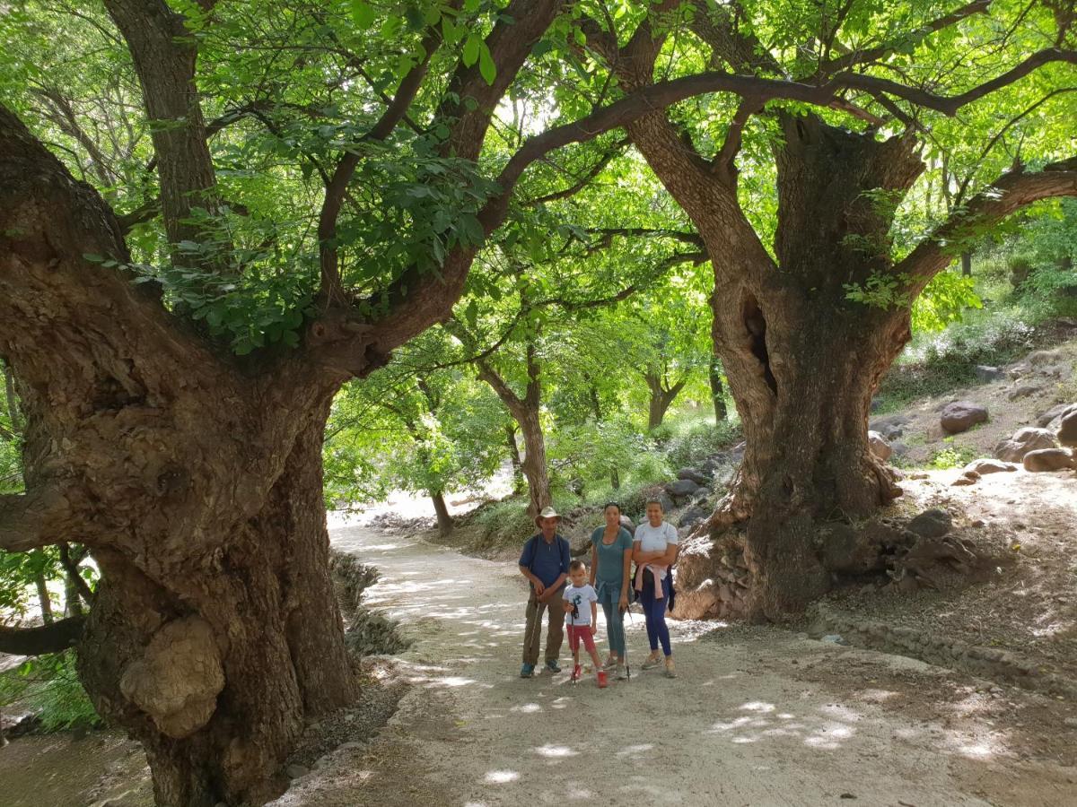 Dar Assarou - Toubkal National Park Lodge Имлиль Экстерьер фото