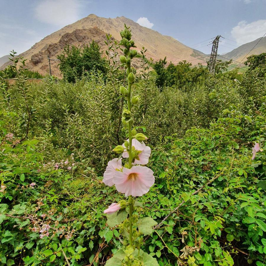 Dar Assarou - Toubkal National Park Lodge Имлиль Экстерьер фото