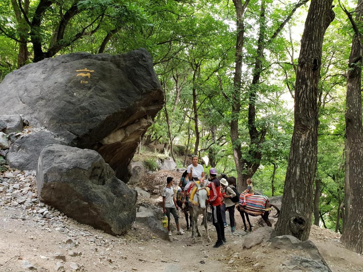 Dar Assarou - Toubkal National Park Lodge Имлиль Экстерьер фото