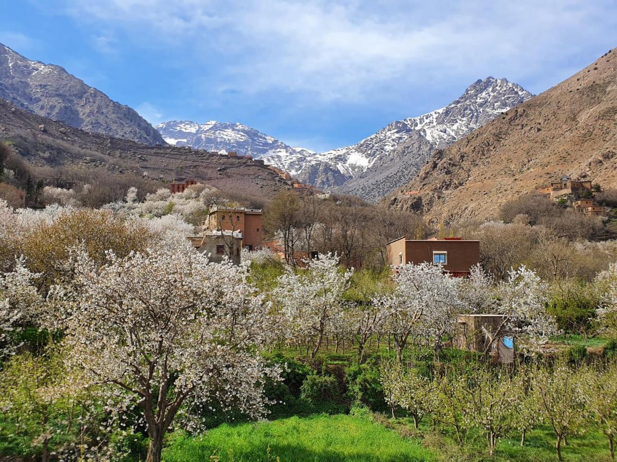 Dar Assarou - Toubkal National Park Lodge Имлиль Экстерьер фото